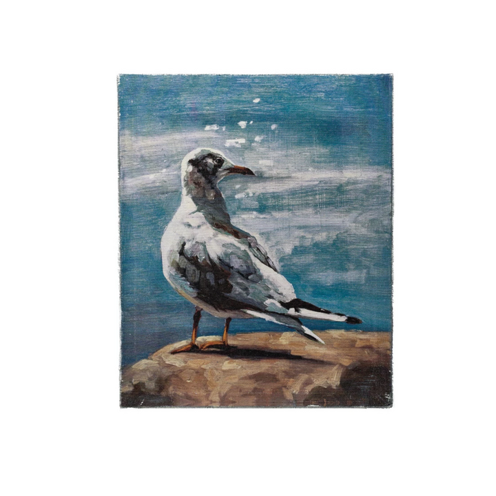 Madisonsniche